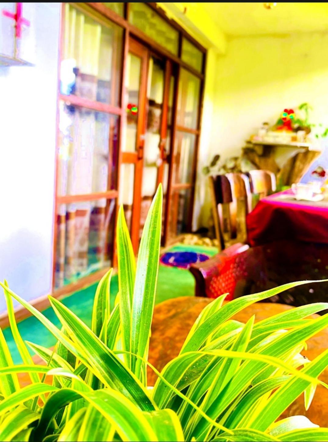 Dream Nest Appartement Ella Buitenkant foto